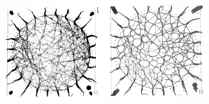 Wool thread model - From Schumacher - Parametricism - AD 2009